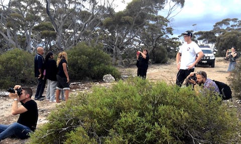 photographers in bush